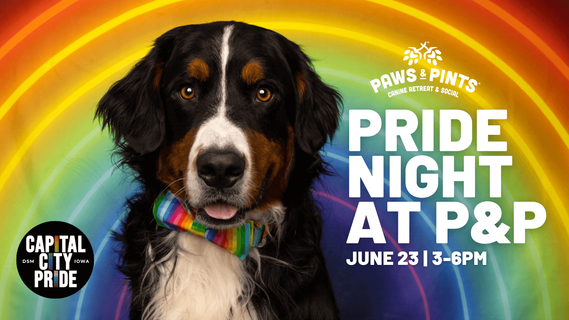 Pride Night Paws & Pints